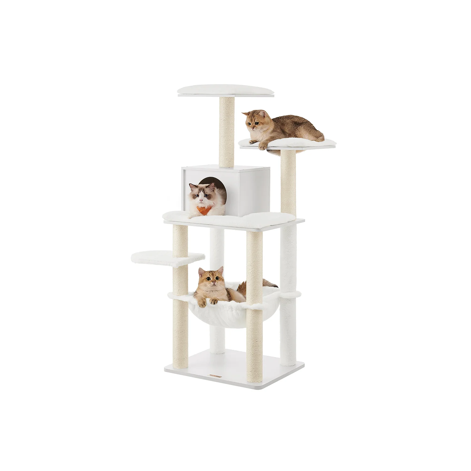 Miniatuur 3